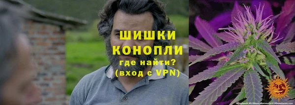 jwh Бородино