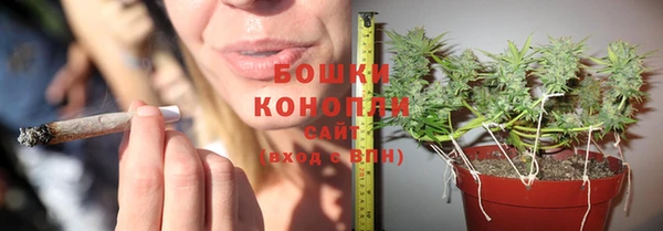 jwh Бородино