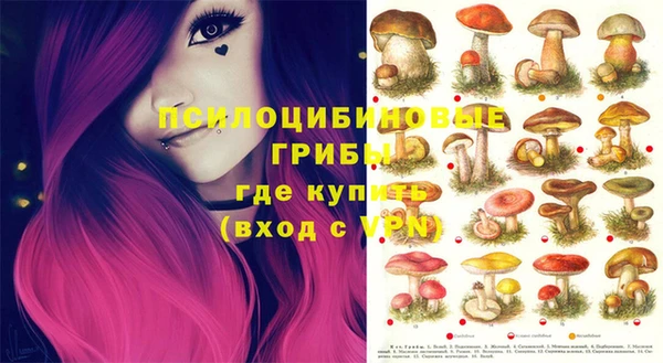 jwh Бородино