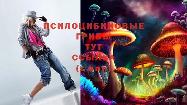 ALPHA PVP Бугульма