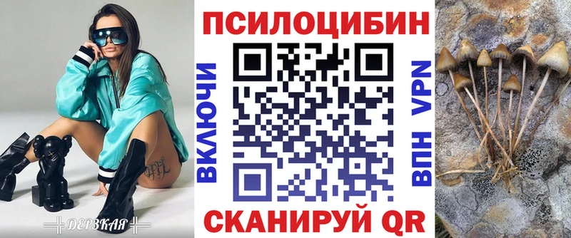 Купить закладки  Мещовск  Псилоцибиновые грибы Psilocybine cubensis 
